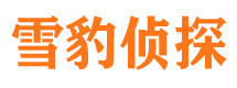 津市市侦探调查公司